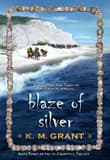 Book cover of Blaze of Silver