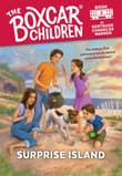 Book cover of Surprise Island