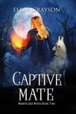 Book cover of Captive Mate