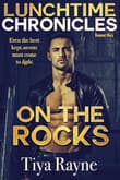 Book cover of On the Rocks
