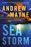 Book cover of Sea Storm
