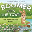 Book cover of Boomer Sees the Town