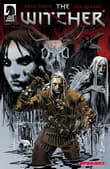 Book cover of The Witcher #1