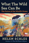 Book cover of What the Wild Sea Can Be