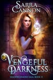 Book cover of Vengeful Darkness