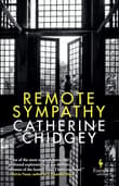 Book cover of Remote Sympathy