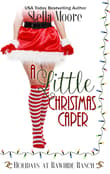 Book cover of A Little Christmas Caper