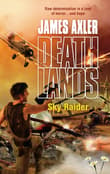 Book cover of Sky Raider