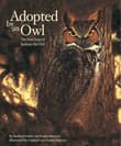 Book cover of Adopted by an Owl: The True Story of Jackson the Owl