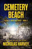 Book cover of Cemetery Beach
