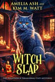 Book cover of Witch Slap