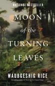 Book cover of Moon of the Turning Leaves
