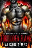 Book cover of Forbidden Flame