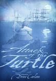 Book cover of Attack of the Turtle