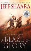 Book cover of A Blaze of Glory