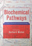 Book cover of Biochemical Pathways: An Atlas of Biochemistry and Molecular Biology