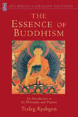 Book cover of The Essence Of Buddhism