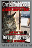 Book cover of The Lost & the Found