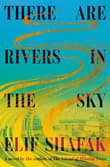 Book cover of There Are Rivers in the Sky
