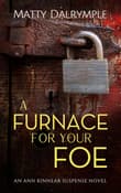 Book cover of A Furnace for Your Foe