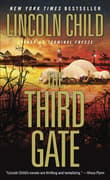 Book cover of The Third Gate