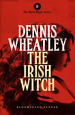 Book cover of The Irish Witch