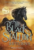 Book cover of The Black Stallion Returns