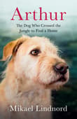 Book cover of Arthur: The Dog Who Crossed the Jungle to Find a Home