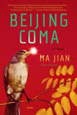 Book cover of Beijing Coma