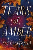 Book cover of Tears of Amber