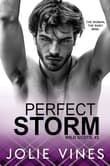 Book cover of Perfect Storm