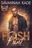 Book cover of Flash Point