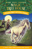 Book cover of Windy Night with Wild Horses