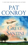 Book cover of The Great Santini