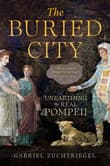 Book cover of The Buried City
