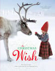 Book cover of The Christmas Wish