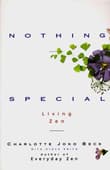 Book cover of Nothing Special