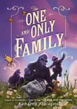 Book cover of The One and Only Family