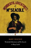 Book cover of Wonderful Adventures of Mrs. Seacole in Many Lands
