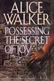 Book cover of Possessing the Secret of Joy