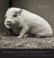 Book cover of Allowed to Grow Old: Portraits of Elderly Animals from Farm Sanctuaries