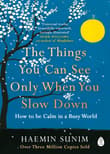 Book cover of The Things You Can See Only When You Slow Down: How to Be Calm in a Busy World