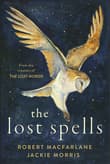 Book cover of The Lost Spells