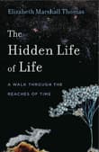 Book cover of The Hidden Life of Life