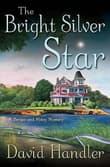 Book cover of The Bright Silver Star