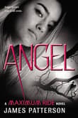 Book cover of Angel