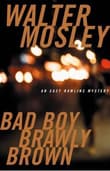 Book cover of Bad Boy Brawly Brown