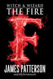 Book cover of The Fire