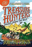 Book cover of Danger Down the Nile