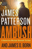 Book cover of Ambush